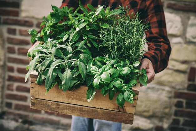 Foto giardiniere senza volto con verdure in contenitore vicino all'edificio