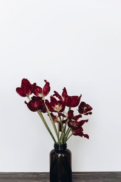 色あせたチューリップ 白い背景の上の枯れた赤い花の花束
