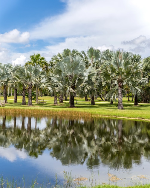 Fairchild tropische botanische tuin, Miami, FL, de VS