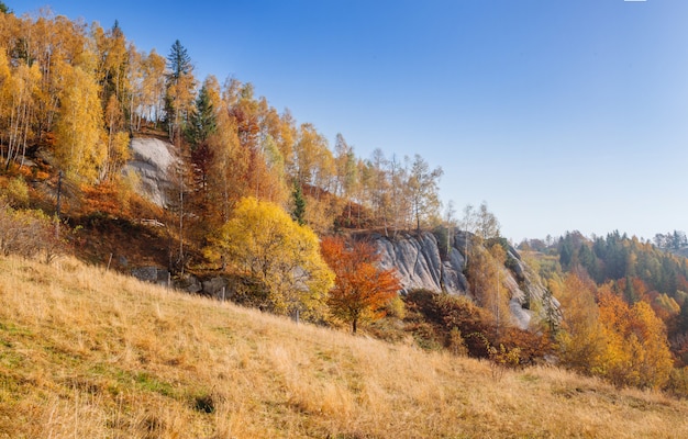 Fairy autumn Landscape