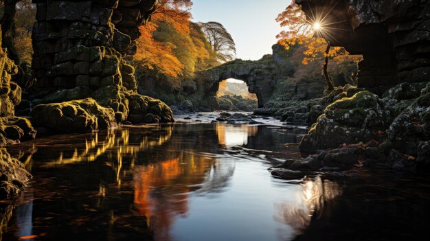 Fairy glen