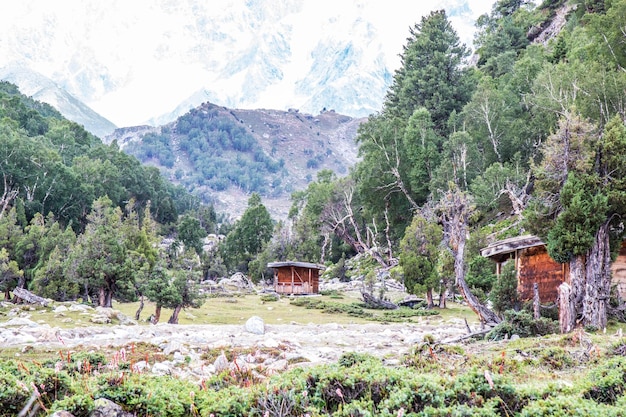 Fairy Meadows Nanga Parbat Prachtig landschap Bergen Uitzicht