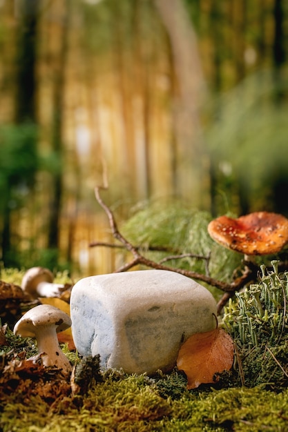 Fairy tale ambiance magical autumn forest background. Cube stone as display podium for natural eco products. Autumn leaves, moss, wild mushrooms around. Creative layout. Eco advertising concept