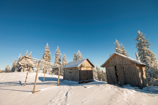 Фото Сказочный зимний солнечный пейзаж. 2 выдержанных деревянных хаты чабана на расчистке горы снежной среди сосен на ярко-голубом copyspace голубого неба.