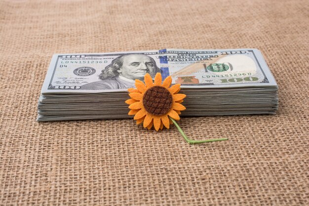 Photo fake flower placed on the banknote bundle of us dollar