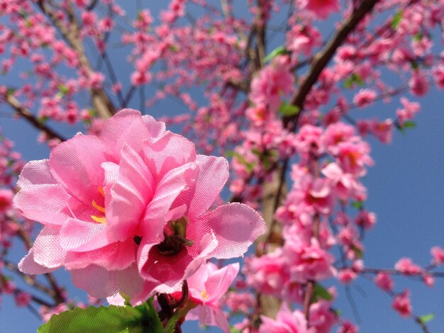 Fake Sakura blossom sticks on the dry tree.