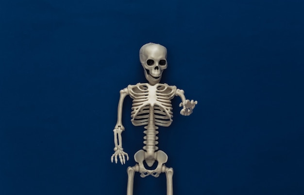 Fake skeleton on classic blue dark. Halloween decoration, scary theme