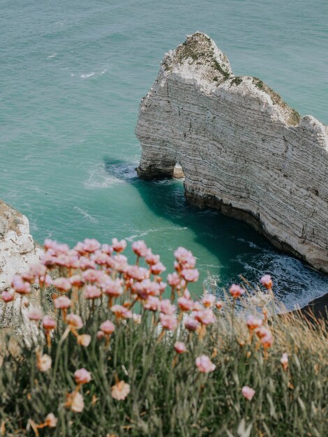 Foto falaises detretat