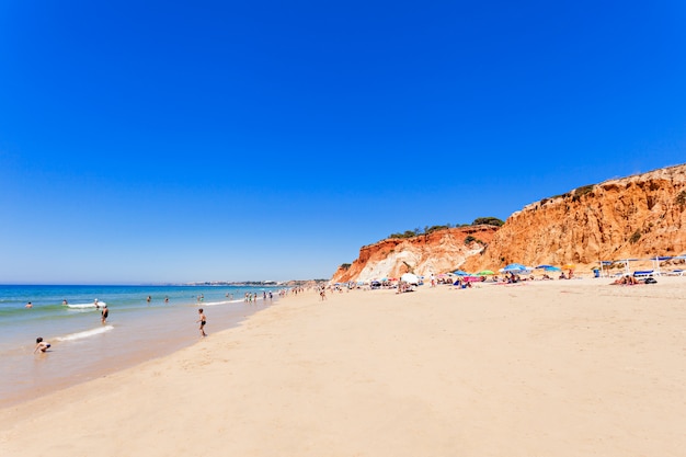 Spiaggia di falesia