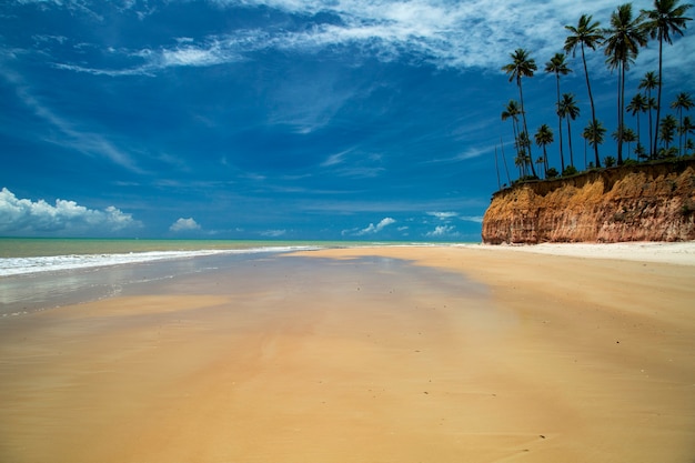 Falesias in Barra do Cahy Beach, Bahia, Brazilië. februari 2017.