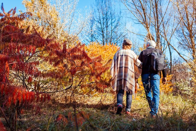 Foto attività autunnali coppia di anziani che passeggiano nel parco autunnale uomo e donna che si godono la vista