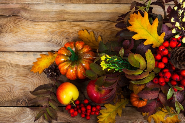 Foto composizione autunnale con foglie di sorbo e quercia,