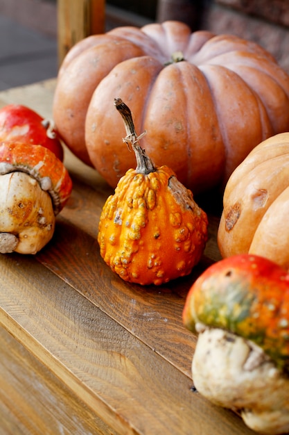 Fall autumn decoration with pumpkins