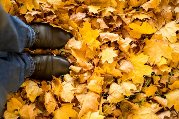 Фото Осень, осень, листья, ноги и обувь. концептуальное изображение ног в сапогах на осенних листьях. ноги обувь прогулки на природе