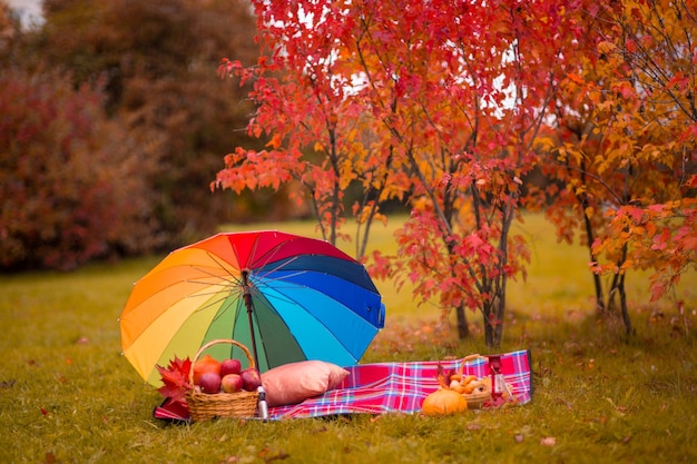 Fall autumn picnic on grass relax in park with red fallen leaves copy space