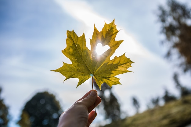 Concetto di stagione autunnale e autunnale, primo piano della mano che tiene una foglia d'acero ritagliata come cuore in una giornata di sole.