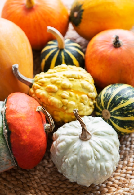 Fall background with multi color pumpkins on rustic background