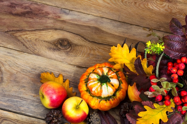 Photo fall background with ripe apples, decorative pumpkin,