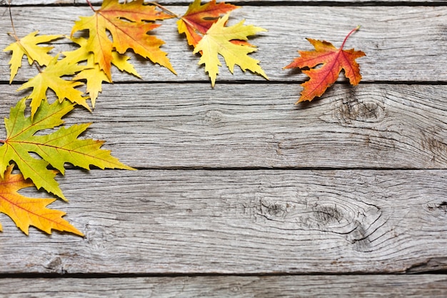 秋の背景。素朴な風化した古い木の黄色のカエデの葉。美しい秋の紅葉の境界線。