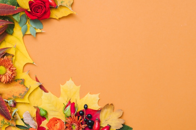 Fall berries, colorful leaves and red roses on orange