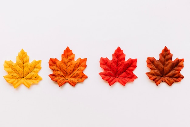 Foto il colore dell'autunno lascia la composizione