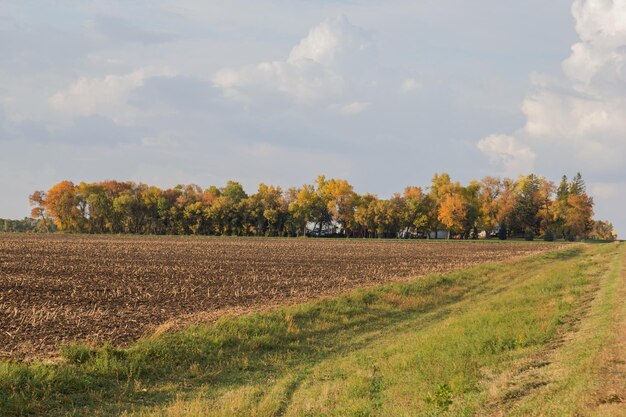 Photo fall colors in southwest minnesota