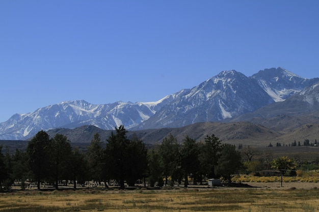 I colori dell'autunno nel lago di giugno e nelle sierre orientali della california