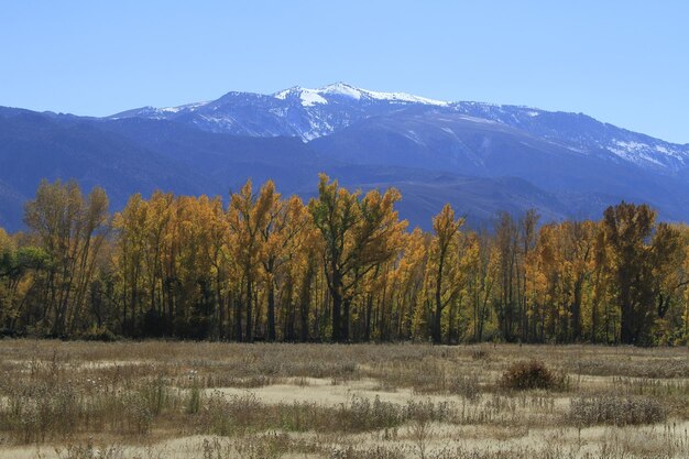 Fall colours in June lake and Eastern sierras California