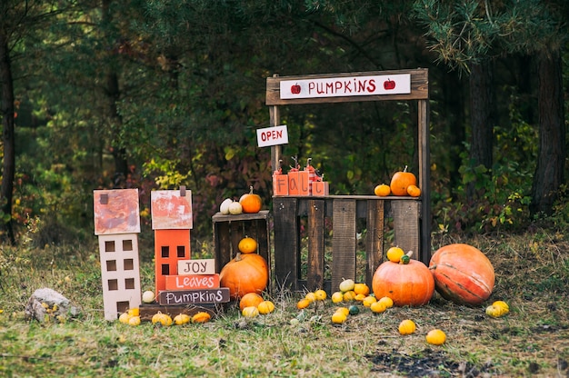 Photo fall decor