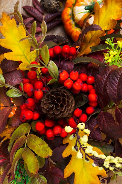 Fall decoration with cones, rowan berries and oak leaves