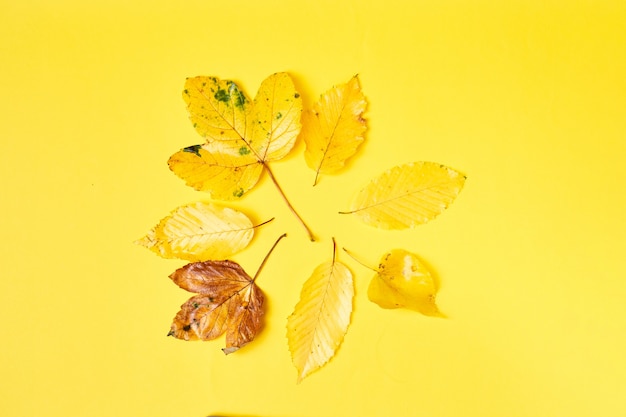 Fall flat lay composition with realistic leaves on orange Hello october Autumn background