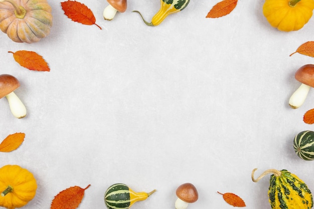 Fall flat lay with colorful pumpkins mushrooms and fallen leaves on gray concrete background Autumn mockup border with decoration Top view Copy space