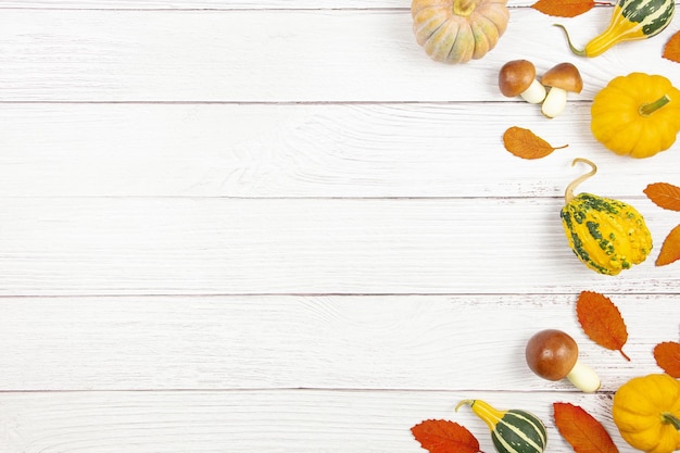 Fall flat lay with colorful pumpkins mushrooms and fallen leaves on white wooden background Autumn border mockup with decoration Top view Copy space