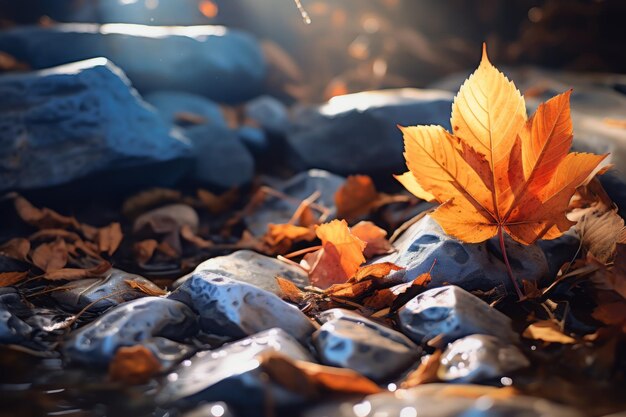 Foto fogliame autunnale luccicante sul terreno roccioso