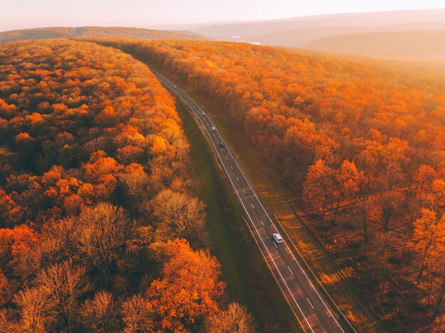 Autunno paesaggio forestale con vista strada rurale dall'alto