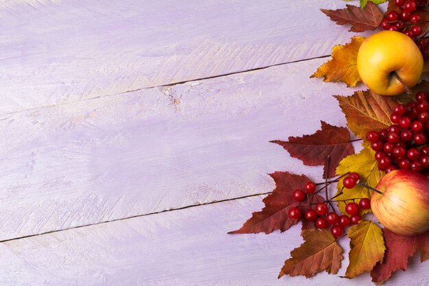 Cornice autunnale di mele, bacche, zucche sul tavolo lilla, copia spazio