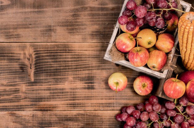 Fall harvest cornucopia. Thanksgiving background. Autumn season with organic fruit