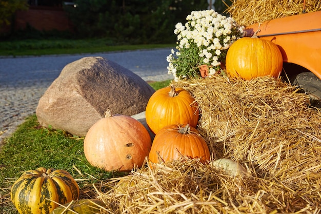 Foto una festa del raccolto autunnale le decorazioni create con zucche di fieno sono altrettanto indicative del