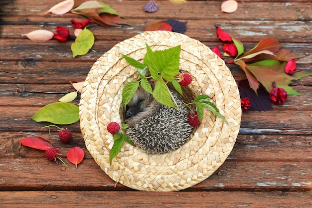 Foto tavola di legno dei lamponi delle foglie di autunno del cappello dell'istrice di caduta vecchia