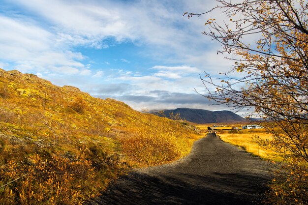 Осень в Исландии Пейзаж с травяным полем в Исландии Осенний пейзаж в пасмурный день Климат