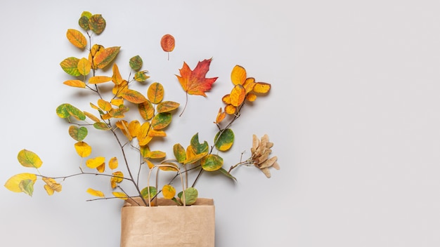 Fall leaves in craft paper bag