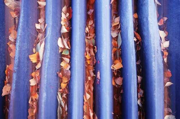 Photo fall leaves in sewer canals object background