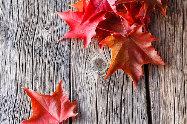 Fall on leaves on weathered table