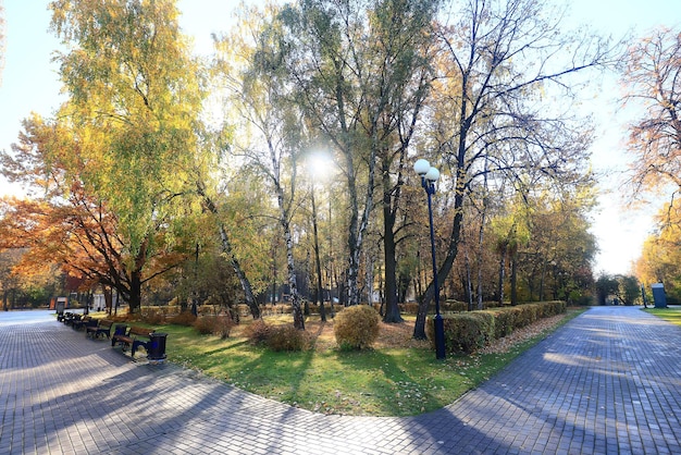 秋の公園の景色の装飾、壁紙秋の黄色の季節