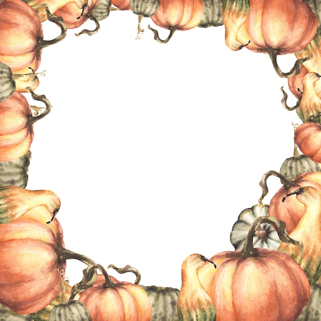 Fall pumpkins frame autumn vegetables harvest isolated watercolor illustration on white background