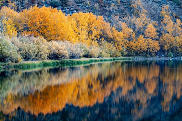 Fall reflections at north lake bear bishop ca
