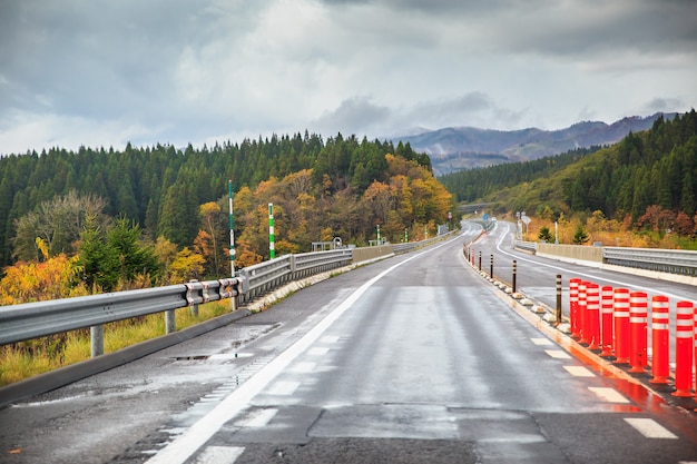 La stagione autunnale e la strada in autunno hokkaido in giappone.