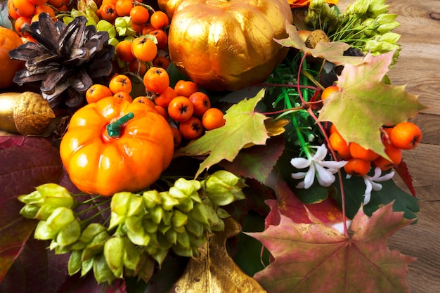 Fall symbols pumpkins, autumn leaves, berries and cones 