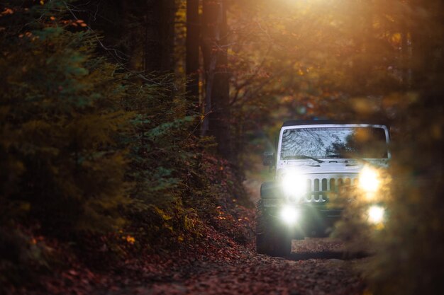 Photo fall time countryside woodland drive in sport utility vehicle