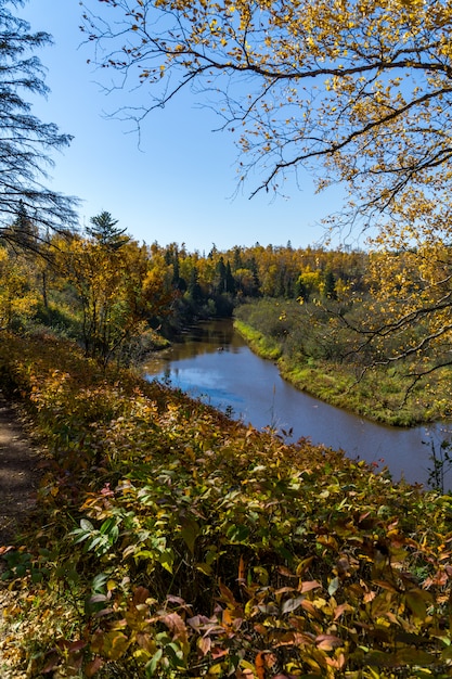 Осенний вид вниз по реке Миннесота